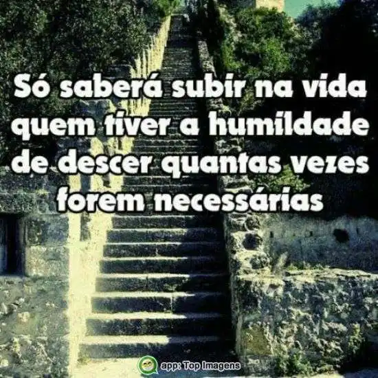 Subir na vida