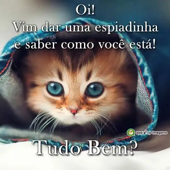 Vim dar uma espiadinha