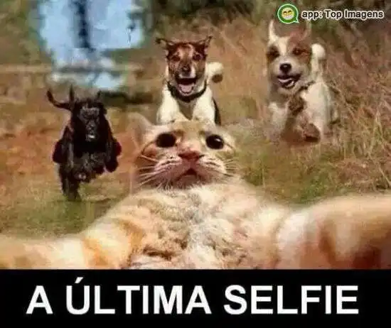 A última selfie