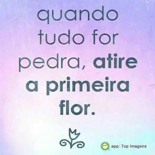 Atire a primeira flor