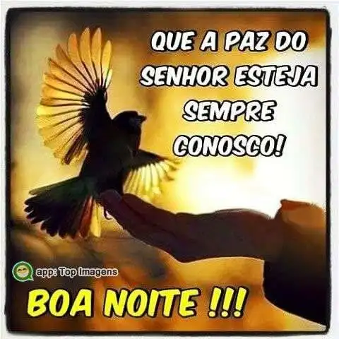 Boa noite
