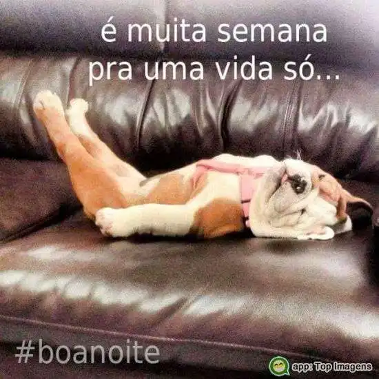 Boa noite