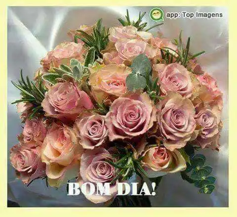 Bom dia