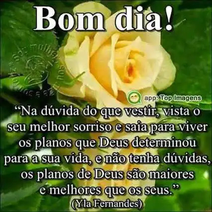 Bom dia