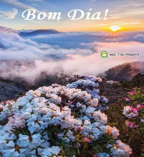 Bom dia
