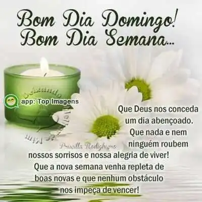 Bom dia
