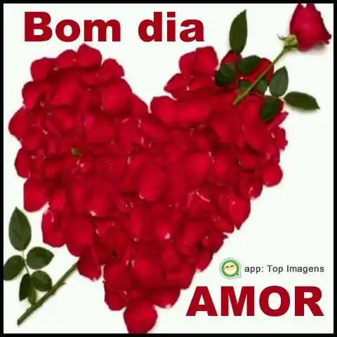 Bom dia amor - Imagens Diárias - 6651 Bom dia amor - Imagens Diárias - 6651
