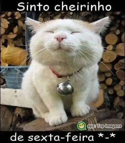 Cheirinho de sexta-feira