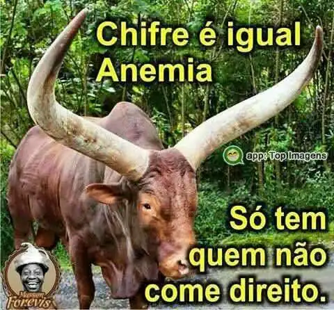 Chifre é igual anemia