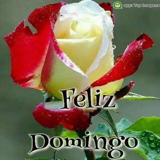 Feliz domingo