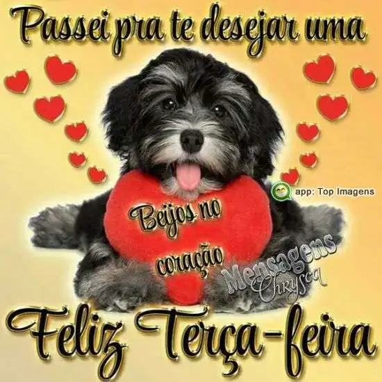 Feliz terça-feira