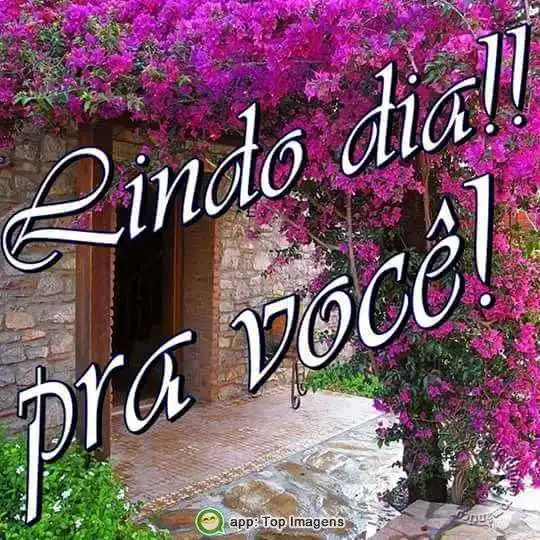 Lindo dia pra você