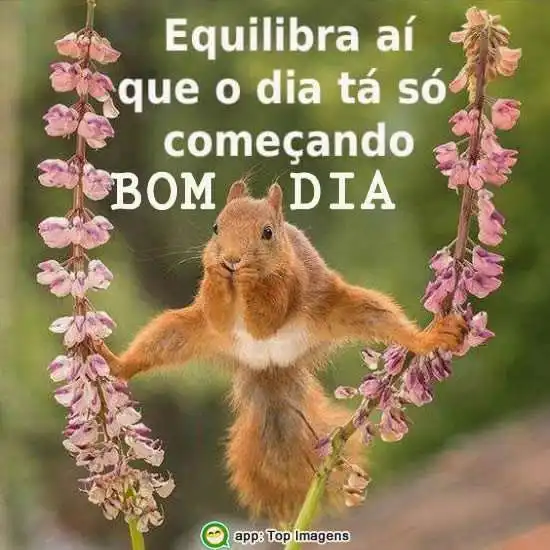 O dia tá só começando