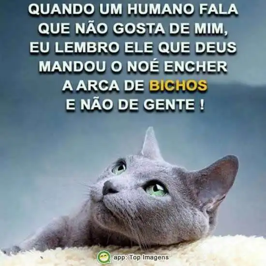 Quando um humano não gosta de mim