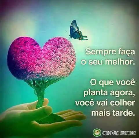 Sempre faça o melhor