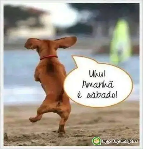 Amanhã é sábado