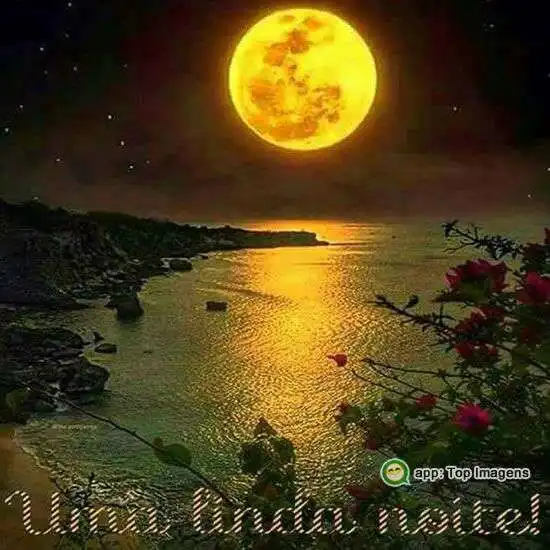 Boa noite