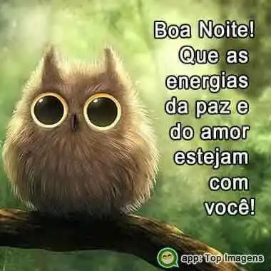 Boa noite