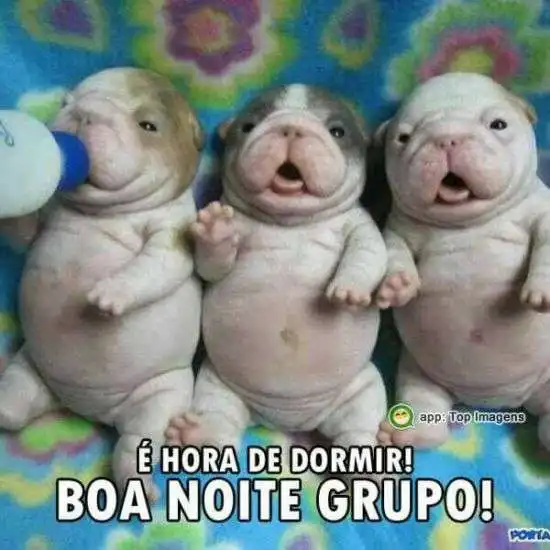Boa noite grupo