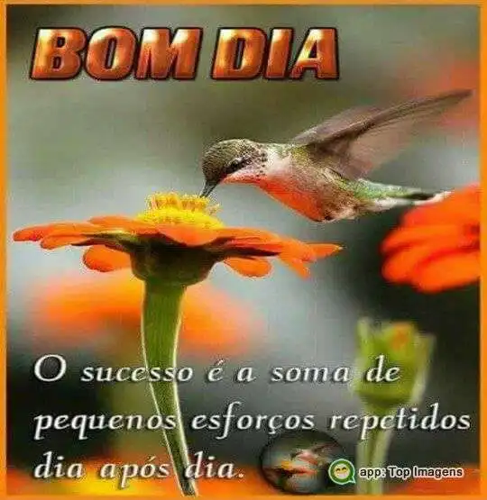 Bom dia