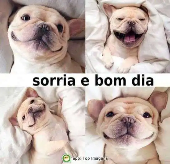 Bom dia