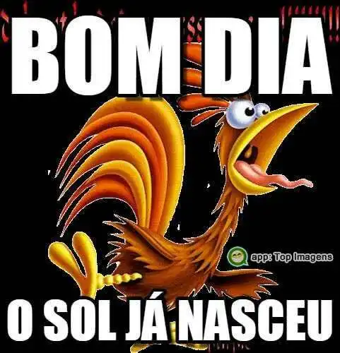 Bom dia o sol já nasceu