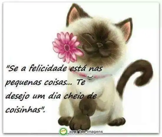 Dia cheio de coisinhas