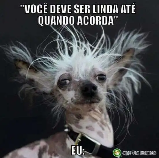 Linda até quando acorda
