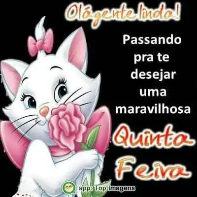 Maravilhosa quinta-feira