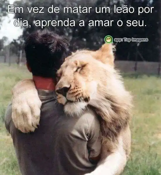 Matar um leão por dia