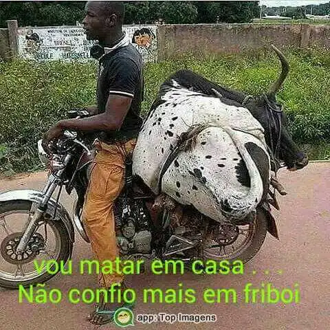 Não confio em friboi