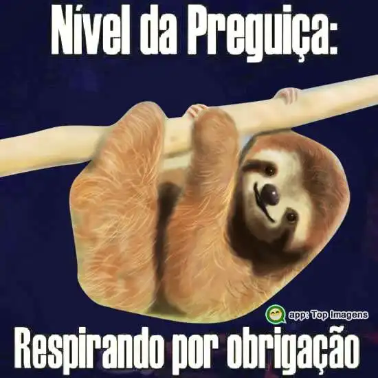 Nível de preguiça