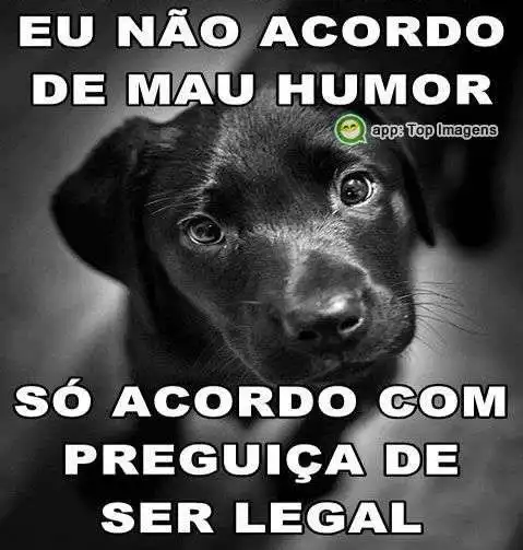 Preguiça de ser legal