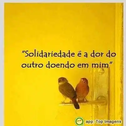 Solidariedade é a dor do outro em mim