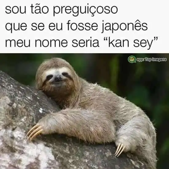 Sou tão preguiçoso