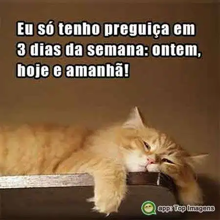 Tenho preguiça em 3 dias da semana