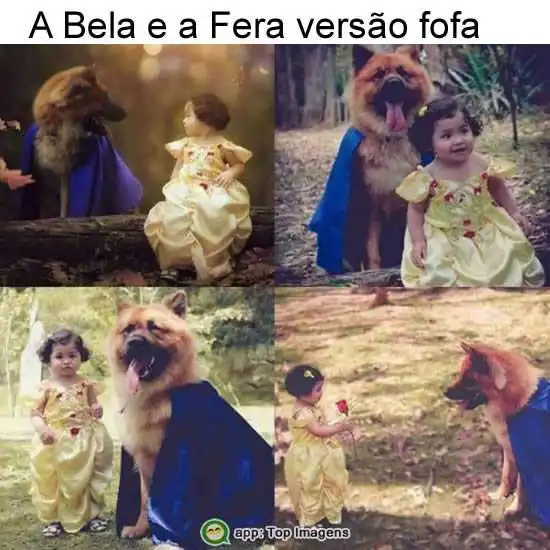 A bela e a fera versão fofa