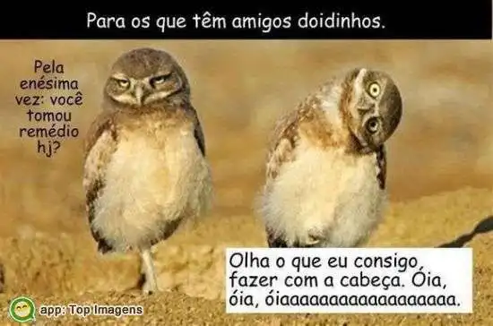 Amigos doidinhos