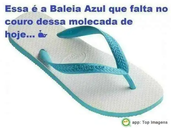 Baleia azul que ta faltando