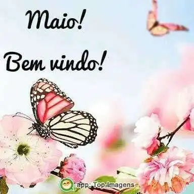 Bem-vindo maio