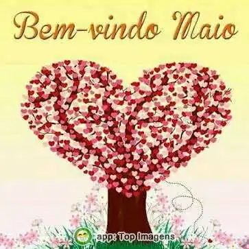 Bem-vindo maio