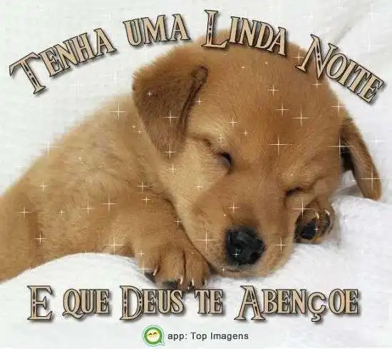 Boa noite