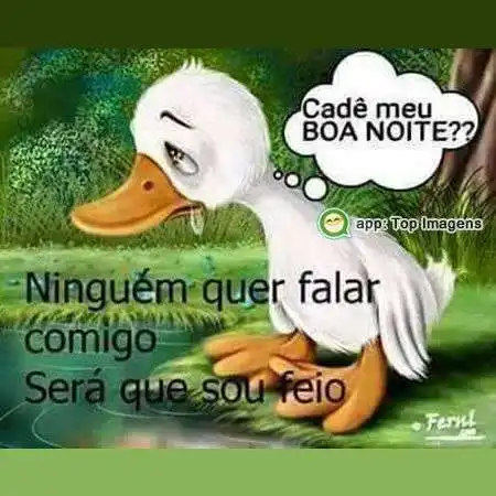 Boa noite