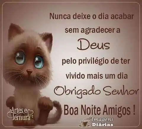 Boa noite