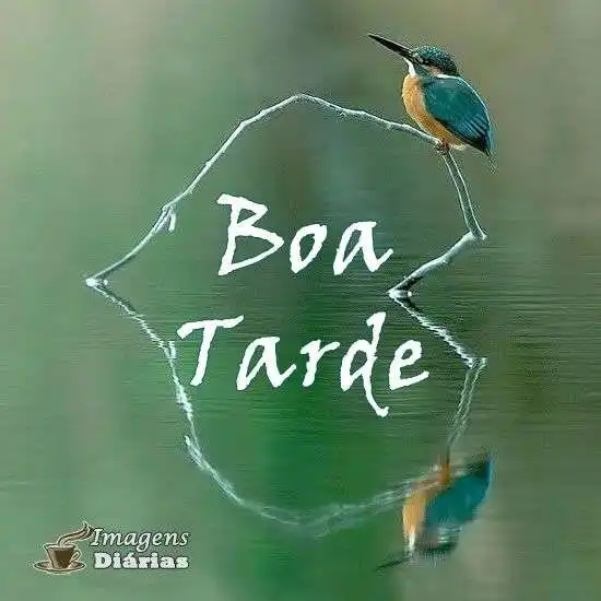 Boa tarde