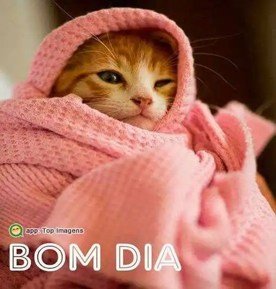 Bom dia