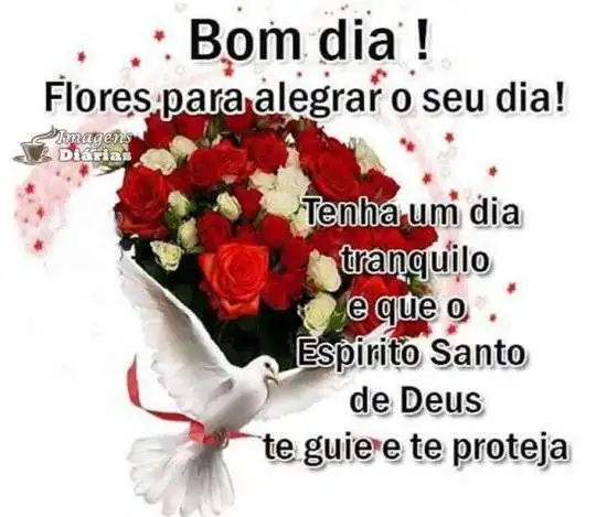 Bom dia - Imagens Diárias - 8228 Bom dia - Imagens Diárias - 8228