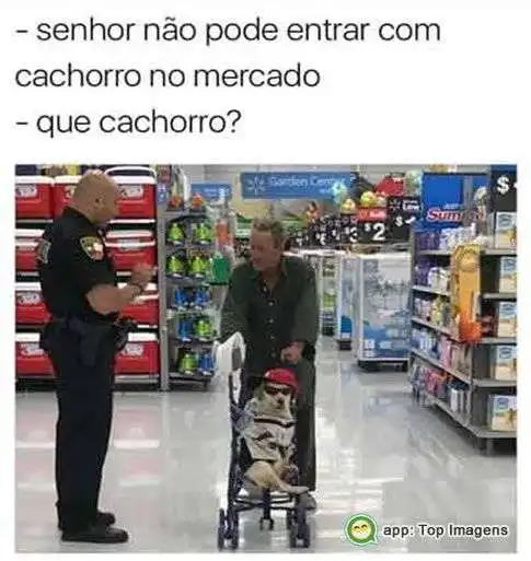 Cachorro no mercado