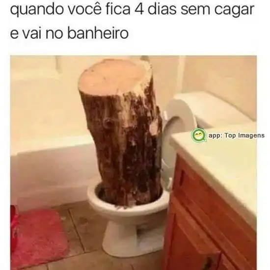 Dias sem ir ao banheiro