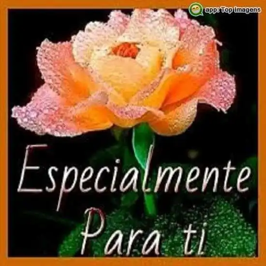 Especialmente para ti